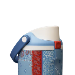 Owala 30oz FreeSip® Sway Common Threads