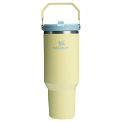 The IceFlow™ Flip Straw Tumbler | Stanley Create